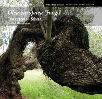 Olea Europea farga